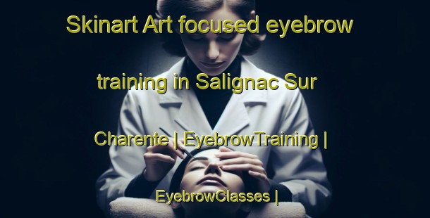 Skinart Art-focused eyebrow training in Salignac Sur Charente | EyebrowTraining | EyebrowClasses | SkinartTraining-France